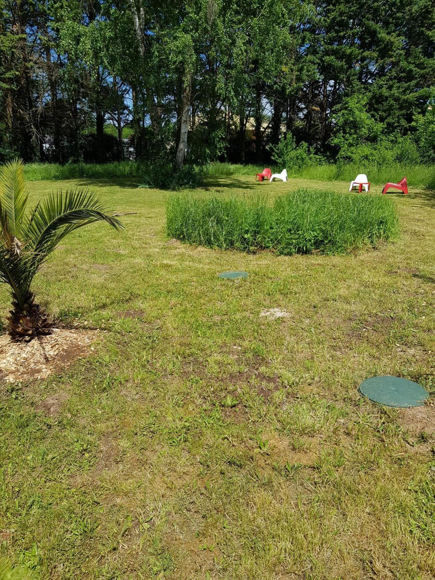 11 - Tres Joli 2 Pieces Tout Equipe Pour 1 A 5 Personnes, Vue Sur Parc Arbore, Parking Privatif Gratuit, Grand Fourgon Possible, Tout Le Linge De Maison Est Fourni Razac-sur-lʼIsle エクステリア 写真